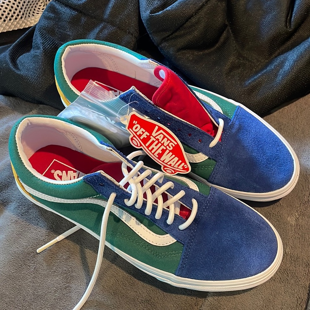 Vans Skater Sneakers